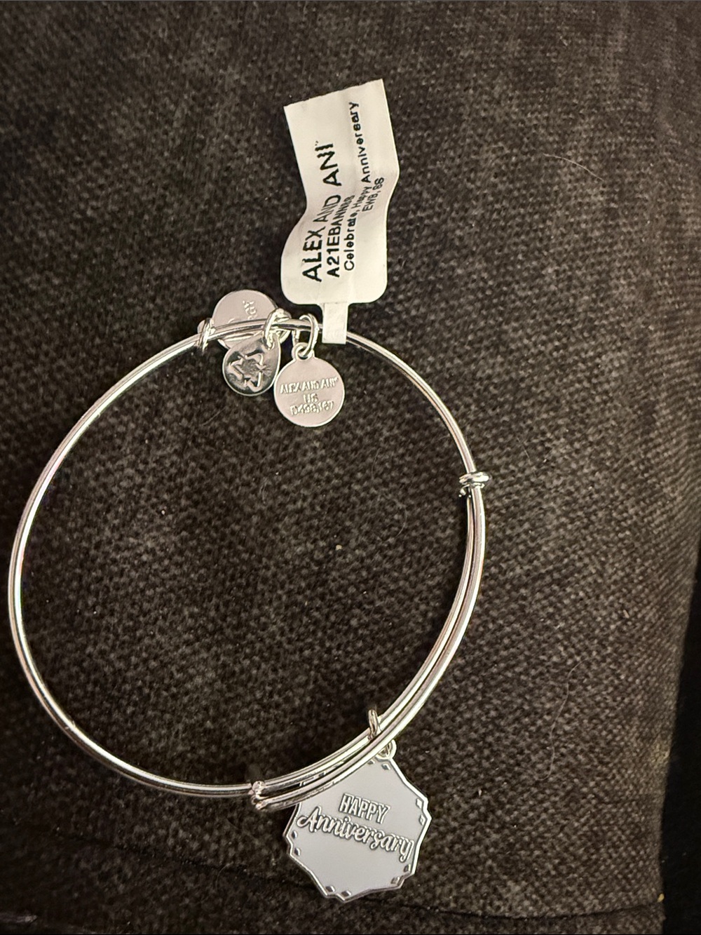 Alex and Ani Silver-Tone 'Happy Anniversary' Charm Bangle
